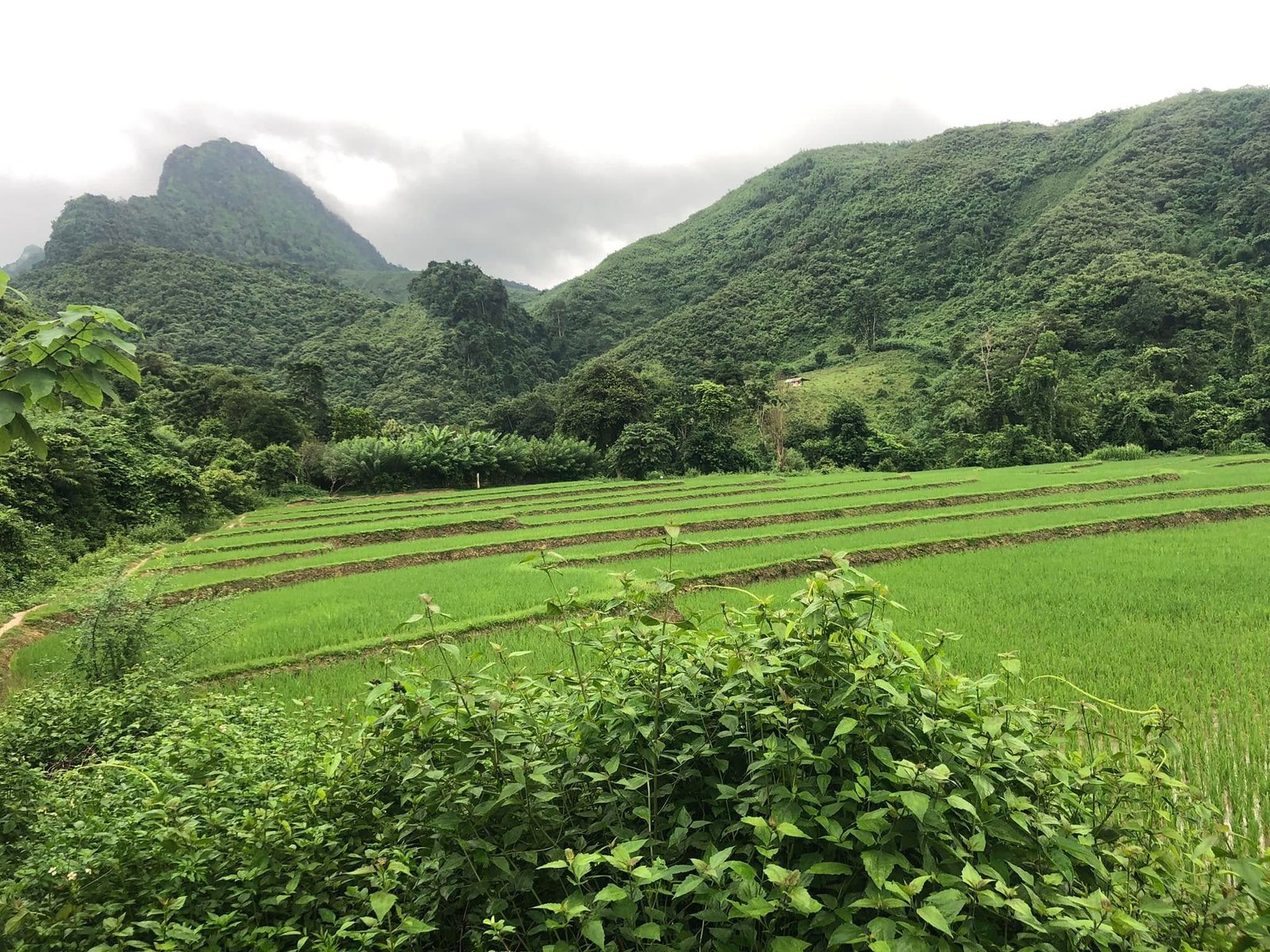 21 Days Explore Northern and Southern Laos By Bike